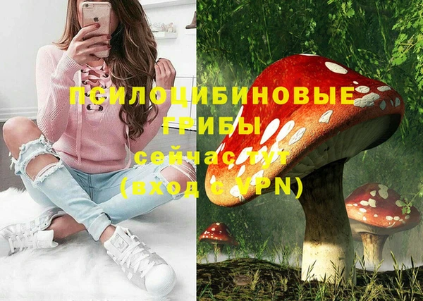 MDMA Premium VHQ Краснослободск