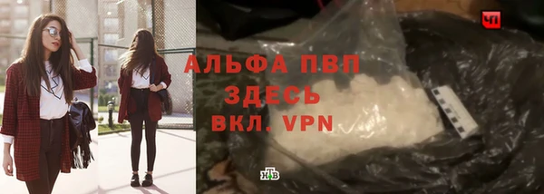 стафф Краснотурьинск