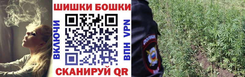 Купить  Чекалин  Конопля план 